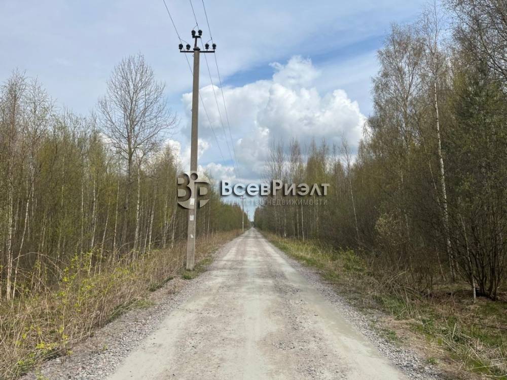 11изображение whatsapp 2025-05-14 в 12.04.20_9a3b3c3c