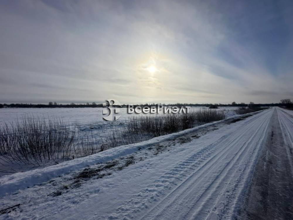 11изображение whatsapp 2025-02-28 в 13.36.12_9c2c584f