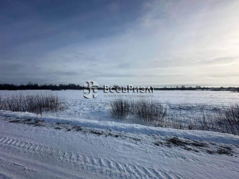 10изображение whatsapp 2025-02-28 в 13.36.12_f3d17e24