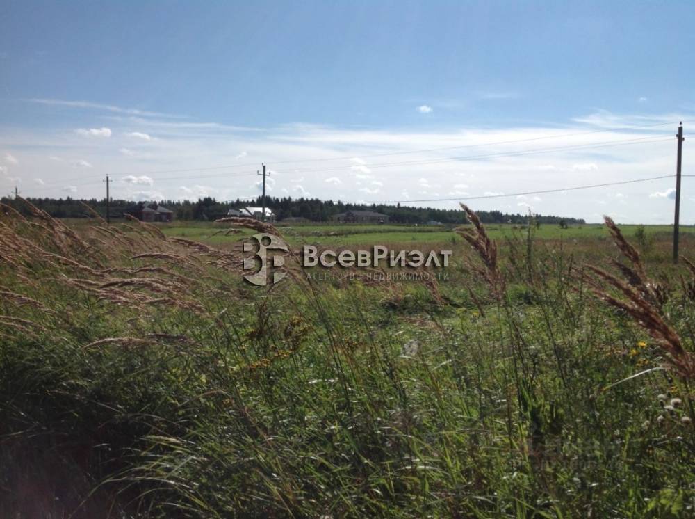 uchastok-novaya-burya-1243826559-1