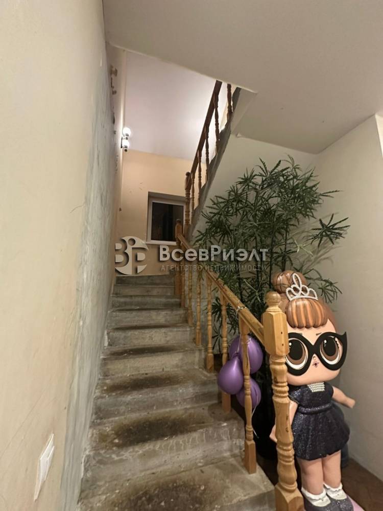 24изображение whatsapp 2025-01-27 в 14.52.35_da5fe6a3