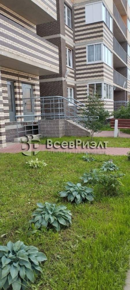 15изображение whatsapp 2025-05-12 в 12.51.39_d405f0cc