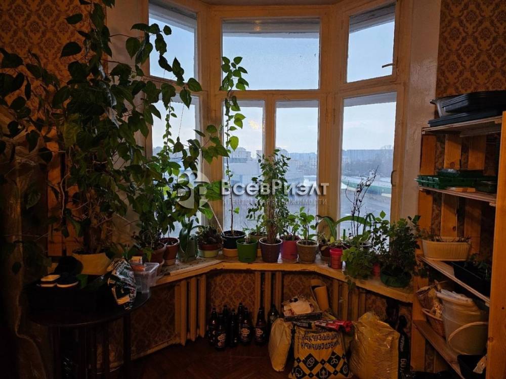 15изображение whatsapp 2025-04-07 в 17.12.51_77f857d7