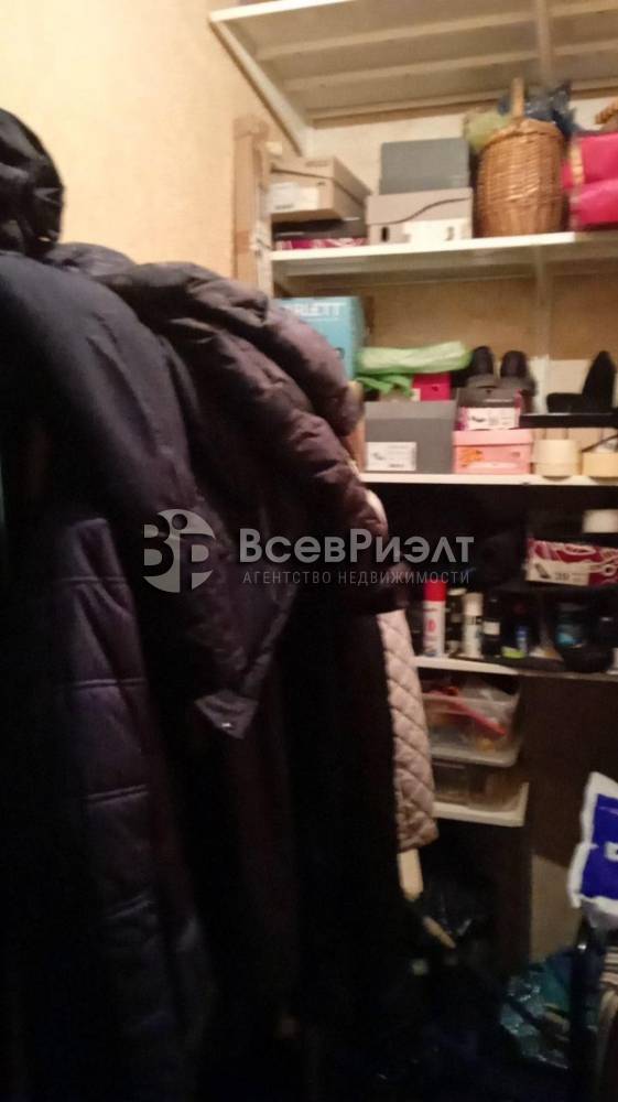12изображение whatsapp 2025-01-15 в 11.24.00_e9a7d786