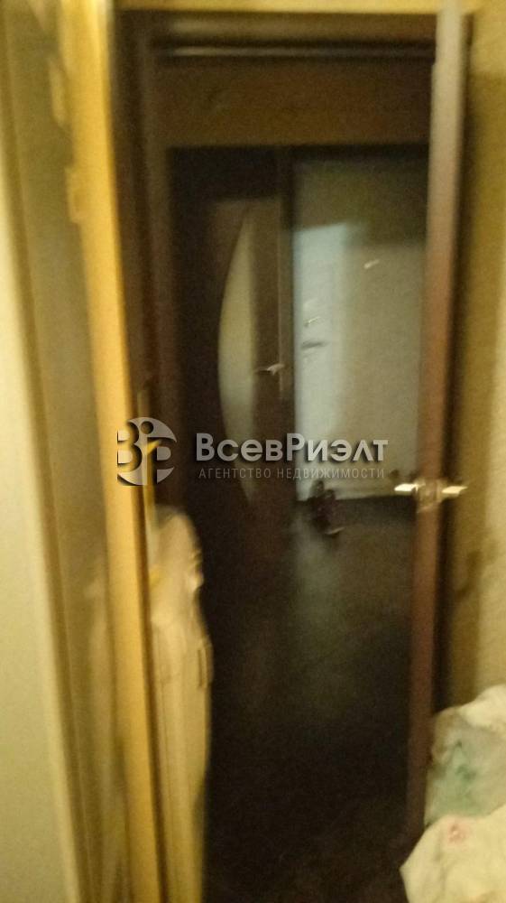 8изображение whatsapp 2025-01-15 в 11.24.00_63cb8f69