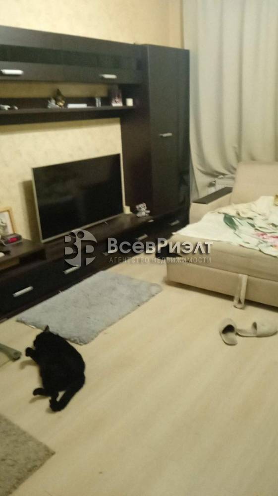9изображение whatsapp 2025-01-15 в 11.24.00_d6344bd4