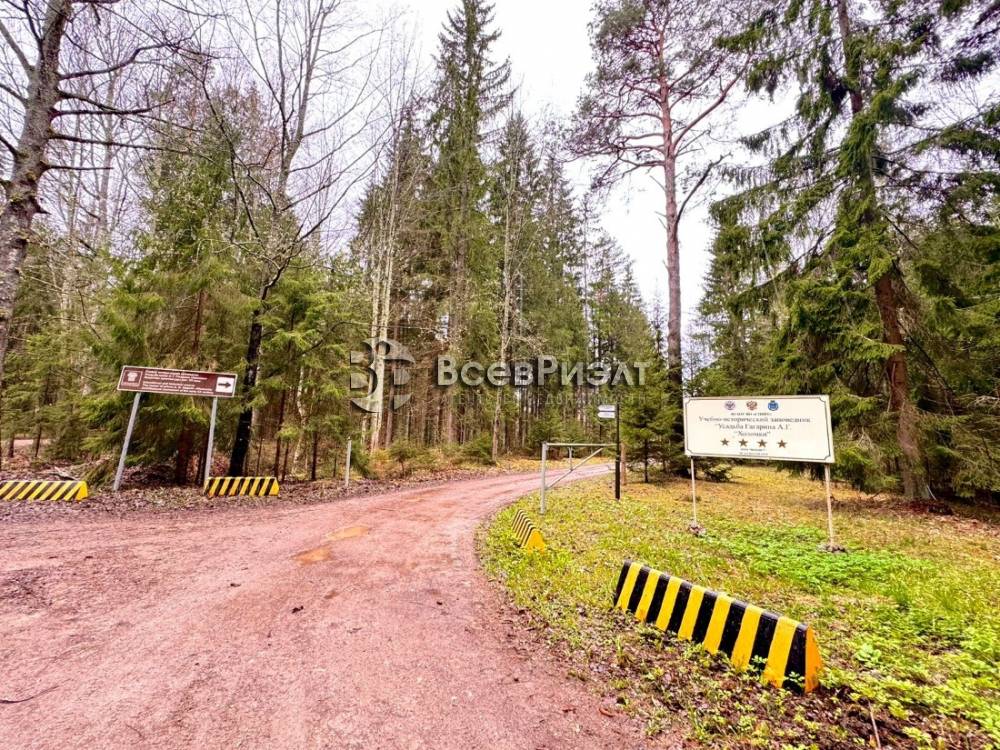 15изображение whatsapp 2024-04-25 в 18.02.16_00be6cb8