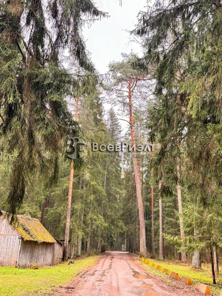 16изображение whatsapp 2024-04-25 в 18.02.17_40078df6