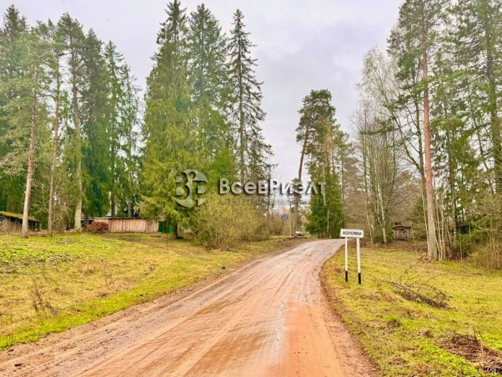 19изображение whatsapp 2024-04-25 в 18.02.18_c45cfd04