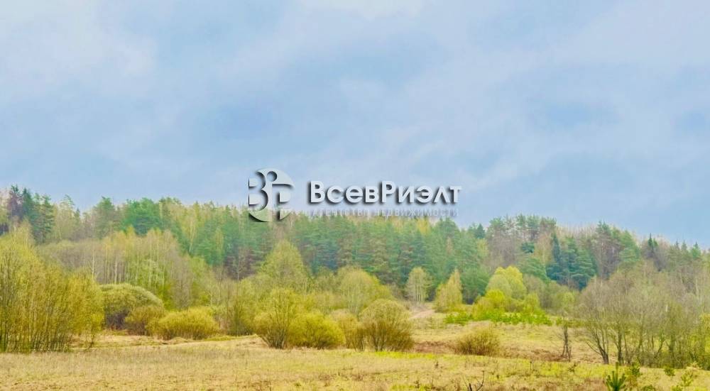 6изображение whatsapp 2024-04-25 в 18.02.11_6d708526