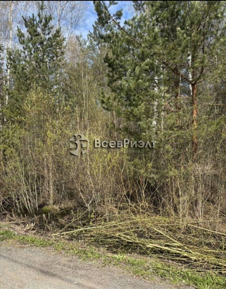 1изображение whatsapp 2025-07-11 в 12.44.00_9463a980