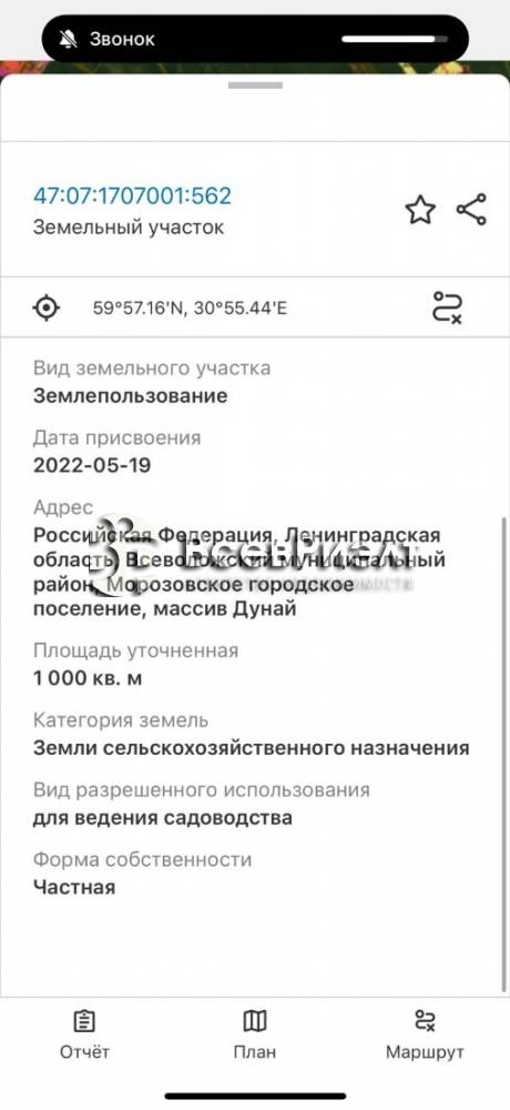 4изображение whatsapp 2025-07-11 в 12.46.12_87855b0a