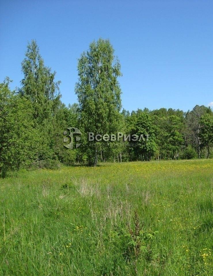 uchastok-rahkovichi-1090345646-1