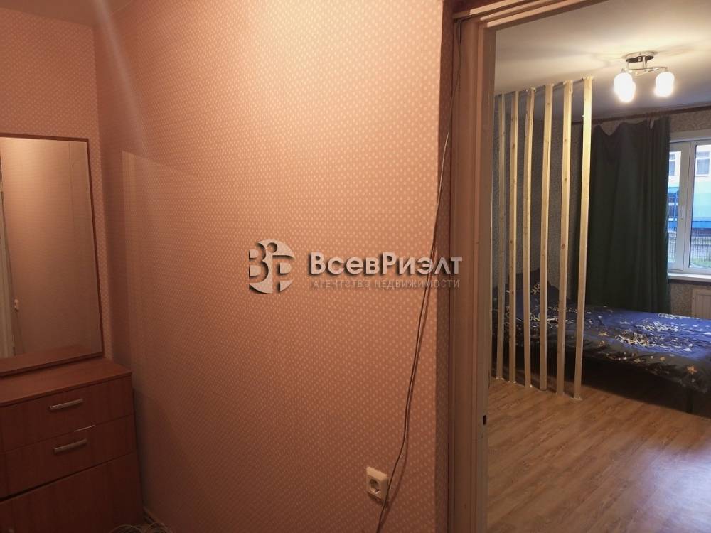 10рimg_20241117_151213_884