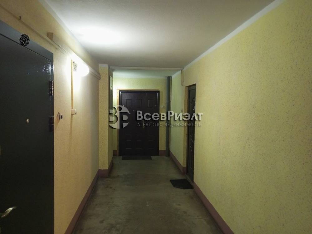 157img_20241117_153812_468