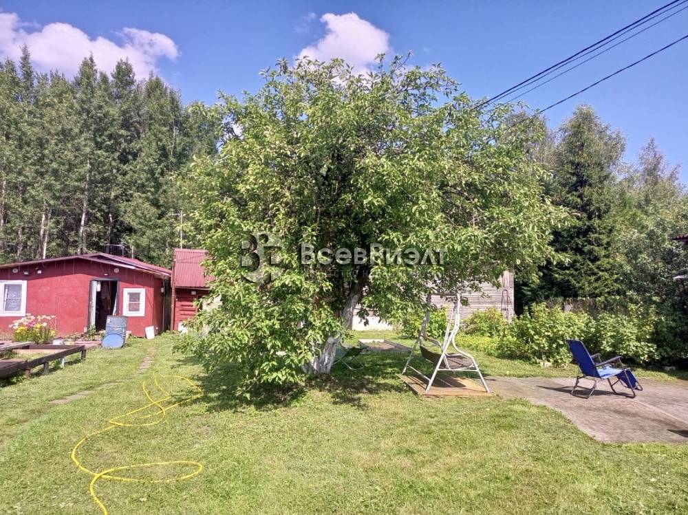 img_20250727_134114_878 (1)