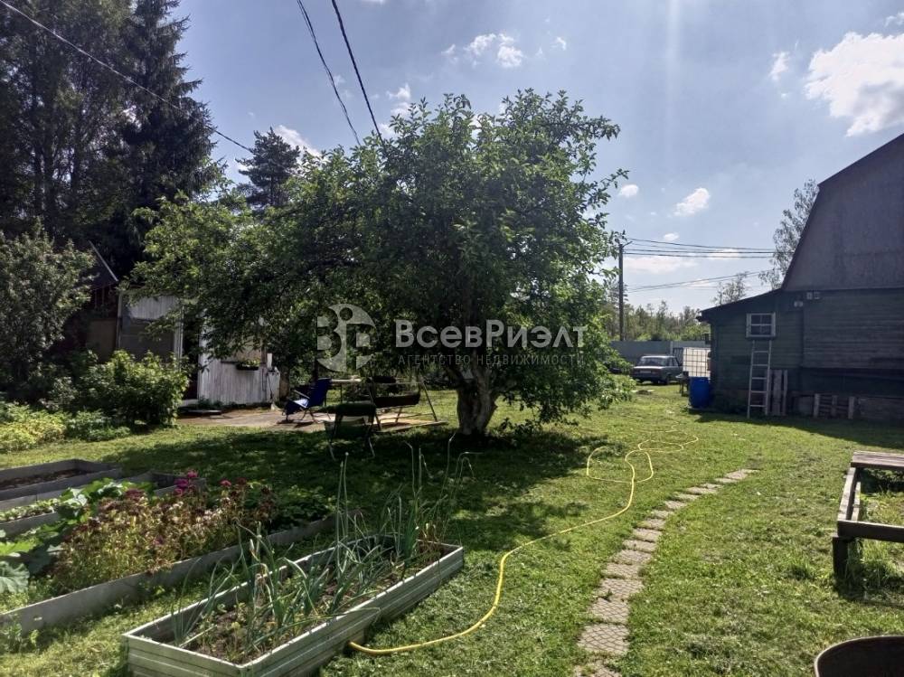 img_20250727_134301_520