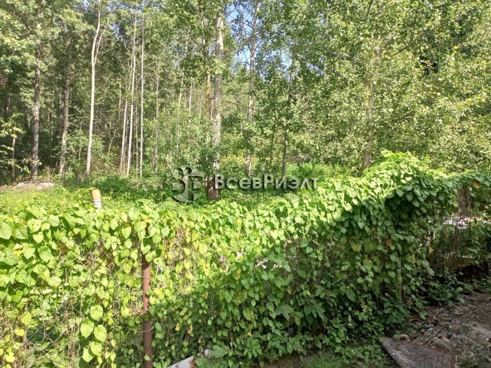 img_20250727_134646_240