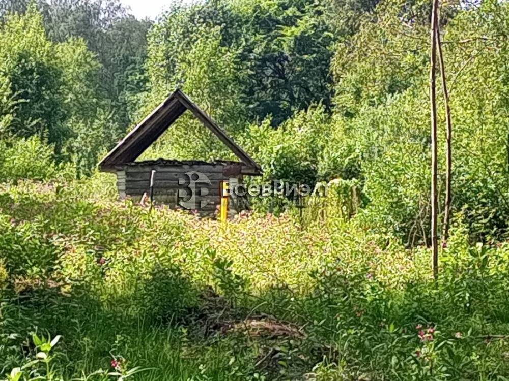 img_20250727_134740_212