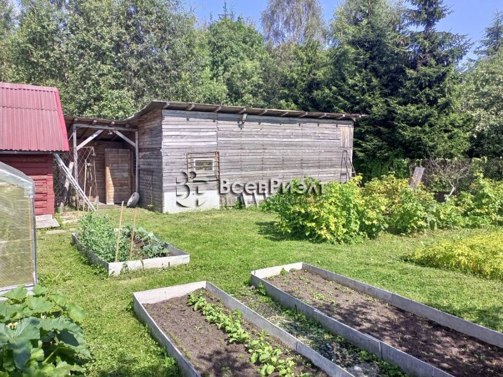 img_20250727_134848_276