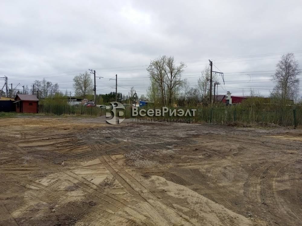 img_20240501_092442_922 (1)