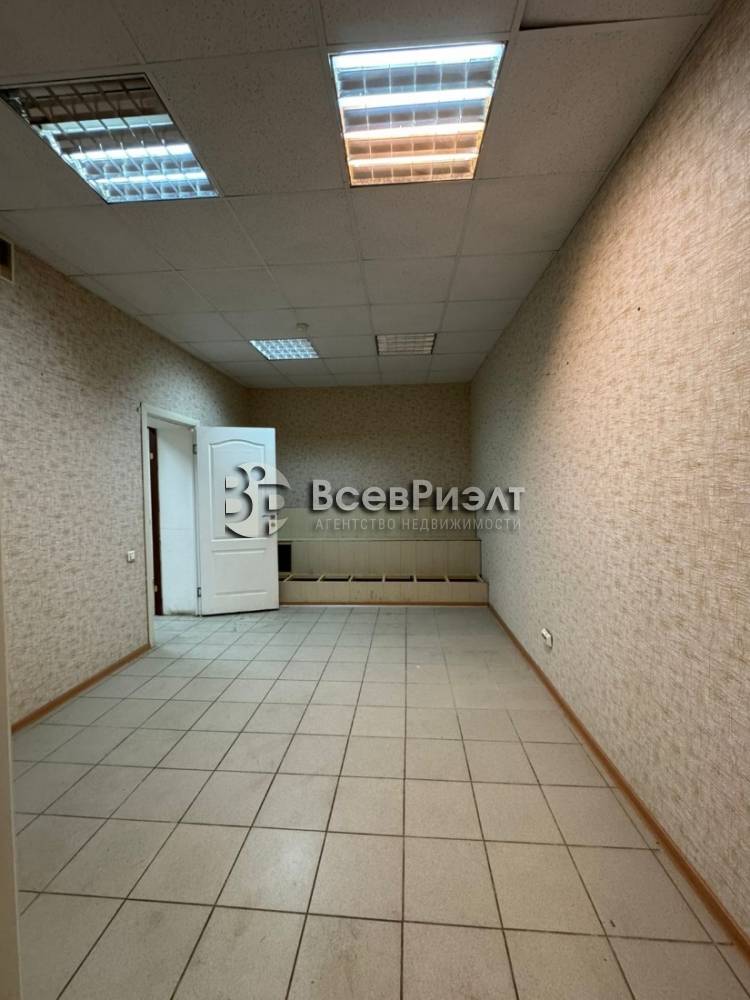 2изображение whatsapp 2025-10-03 в 18.41.27_0ddf33ff