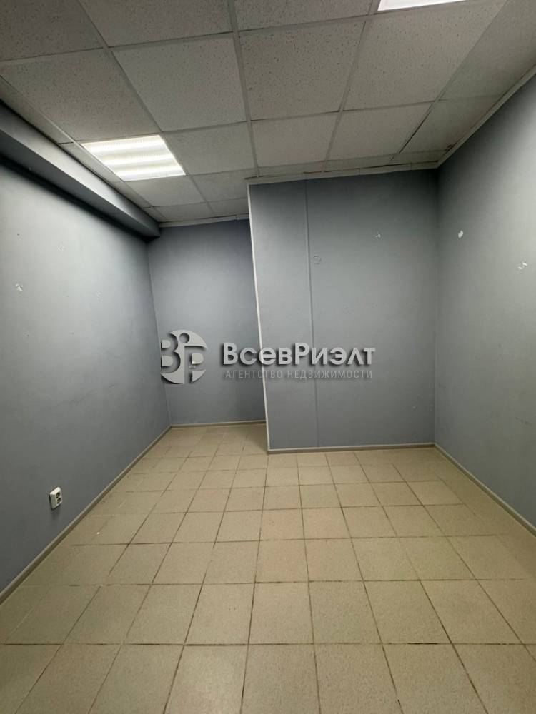 15изображение whatsapp 2025-10-03 в 18.41.29_5e0188ad