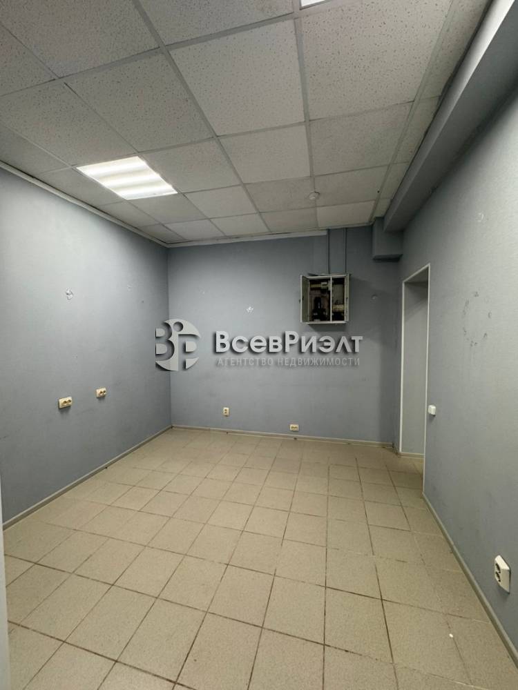 16изображение whatsapp 2025-10-03 в 18.41.29_327e8f25