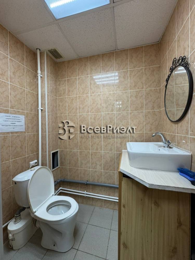 19изображение whatsapp 2025-10-03 в 18.41.28_53b9a435