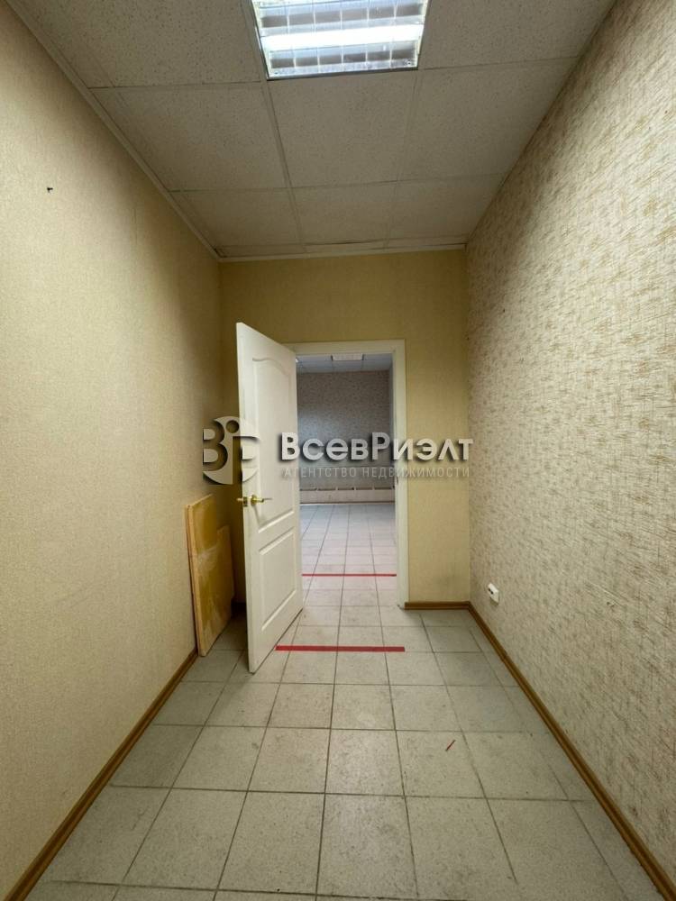 3изображение whatsapp 2025-10-03 в 18.41.27_592d972c