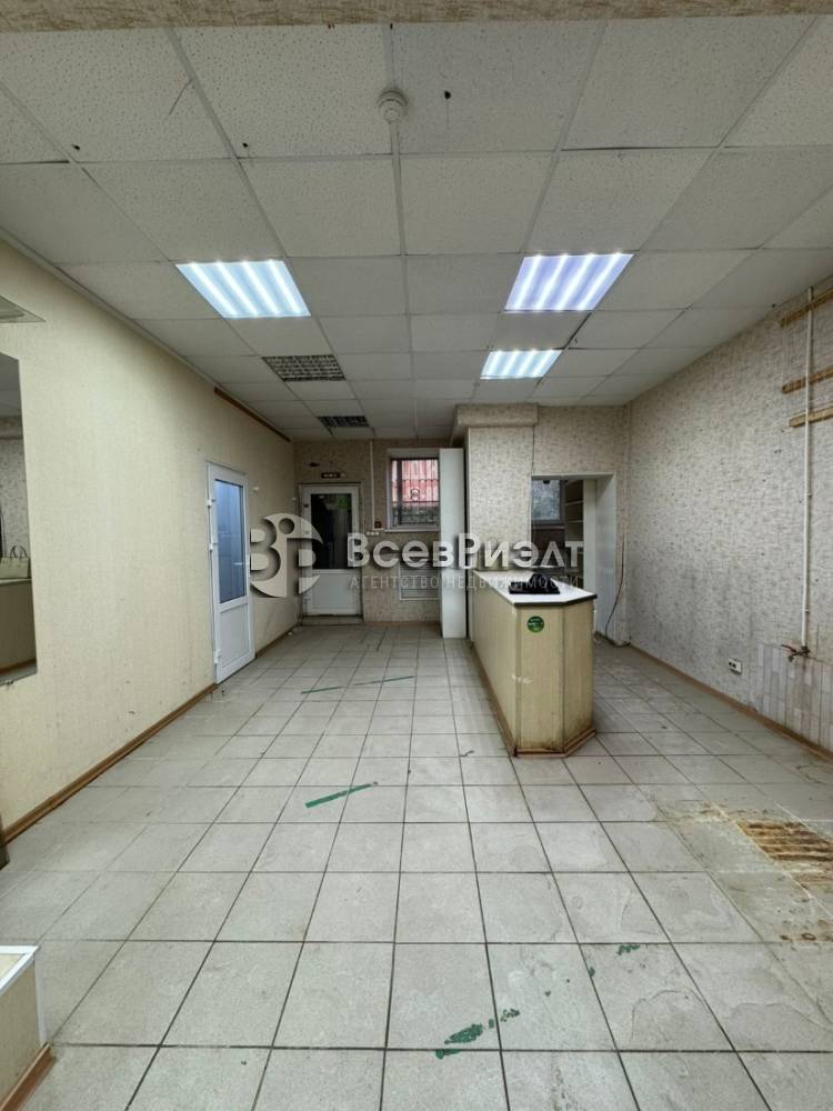 5изображение whatsapp 2025-10-03 в 18.41.28_851b2151