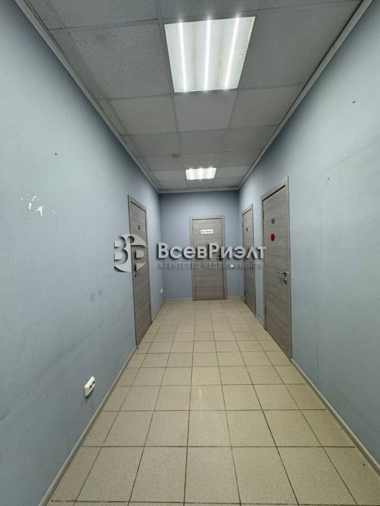 7изображение whatsapp 2025-10-03 в 18.41.28_8cc41927