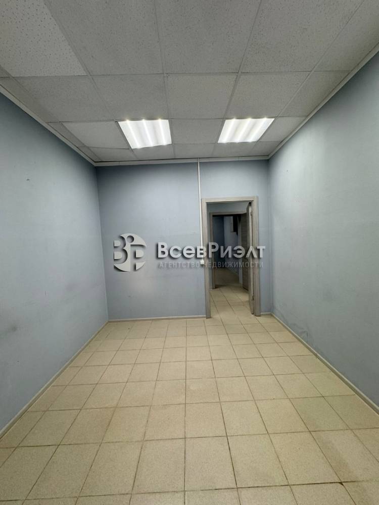 10изображение whatsapp 2025-10-03 в 18.41.28_fc126553