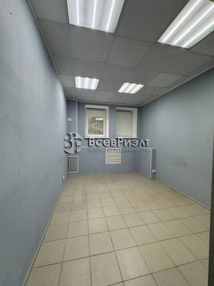 11изображение whatsapp 2025-10-03 в 18.41.29_56018270