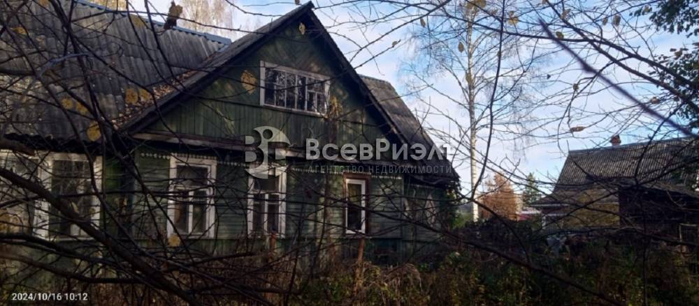 1изображение whatsapp 2024-10-28 в 11.56.16_b049a53e