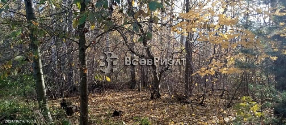 2изображение whatsapp 2024-10-28 в 11.56.17_e2ea924b