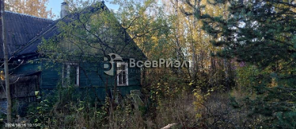 4изображение whatsapp 2024-10-28 в 11.56.17_99e21b3c