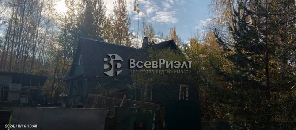 5изображение whatsapp 2024-10-28 в 11.56.18_081c593e