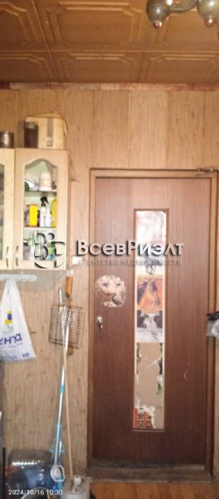 6изображение whatsapp 2024-10-28 в 11.56.18_081c593e