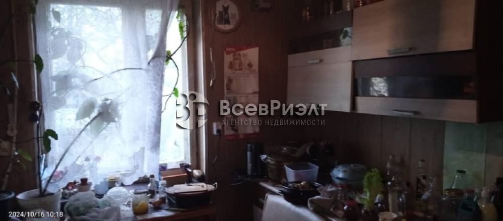 7изображение whatsapp 2024-10-28 в 11.56.18_11d03418