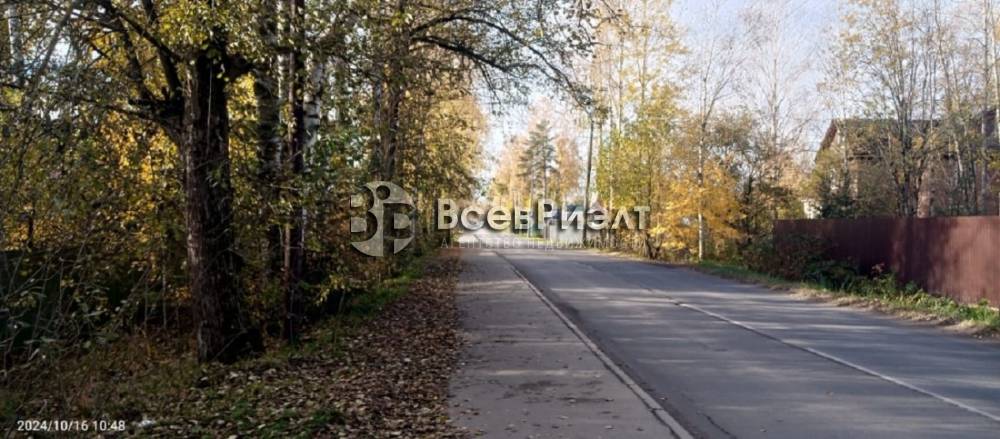 8изображение whatsapp 2024-10-28 в 11.56.18_9581b070