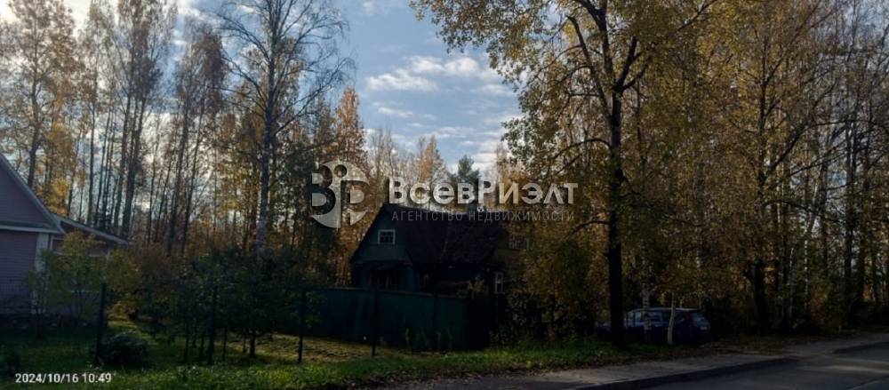 9изображение whatsapp 2024-10-28 в 11.56.19_6d4059b1