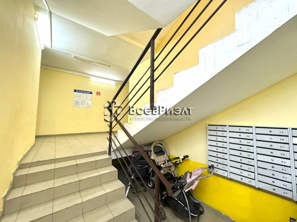 2изображение whatsapp 2024-09-27 в 14.25.08_19ac8491