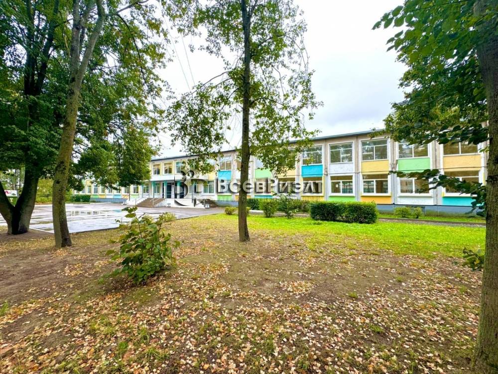 16изображение whatsapp 2024-09-27 в 14.25.14_d585bf0b