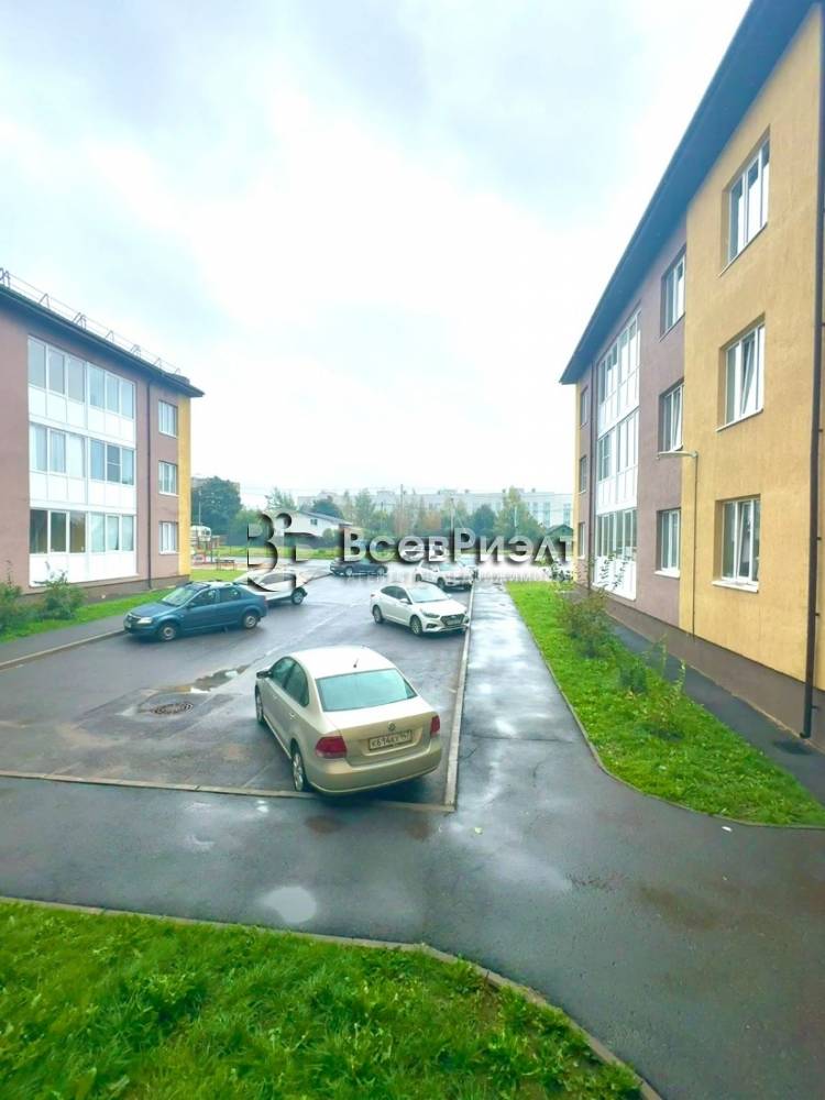 7изображение whatsapp 2024-09-27 в 14.25.10_b29e668b