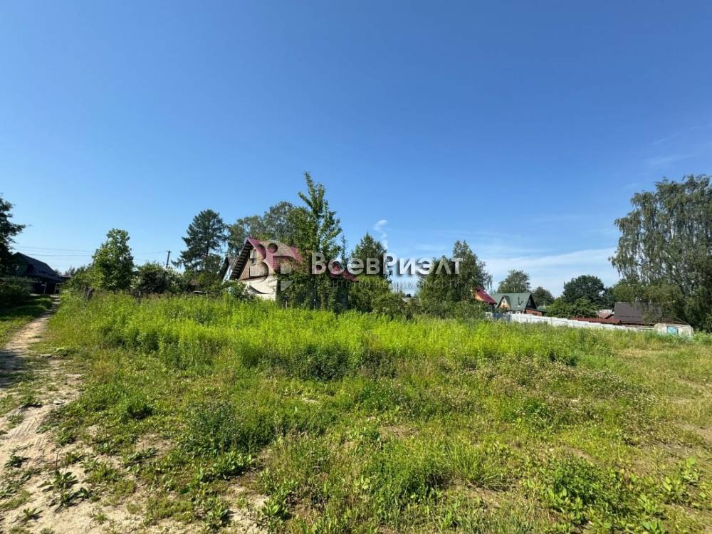 2изображение whatsapp 2025-08-11 в 10.34.09_c1cfd393