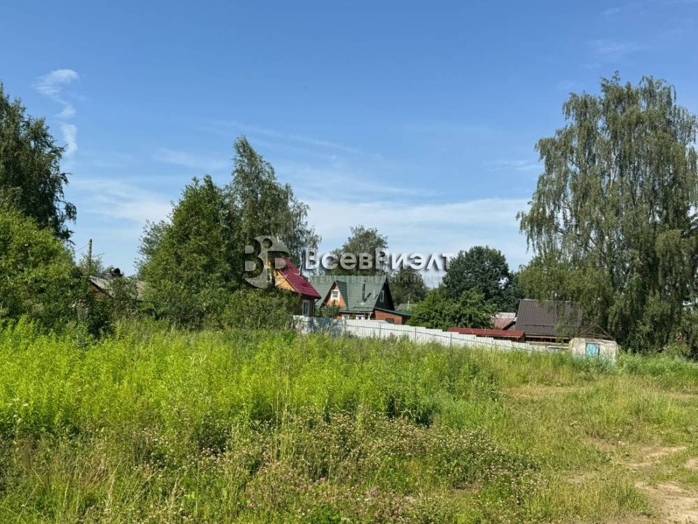 3изображение whatsapp 2025-08-11 в 10.34.10_59fbcad9