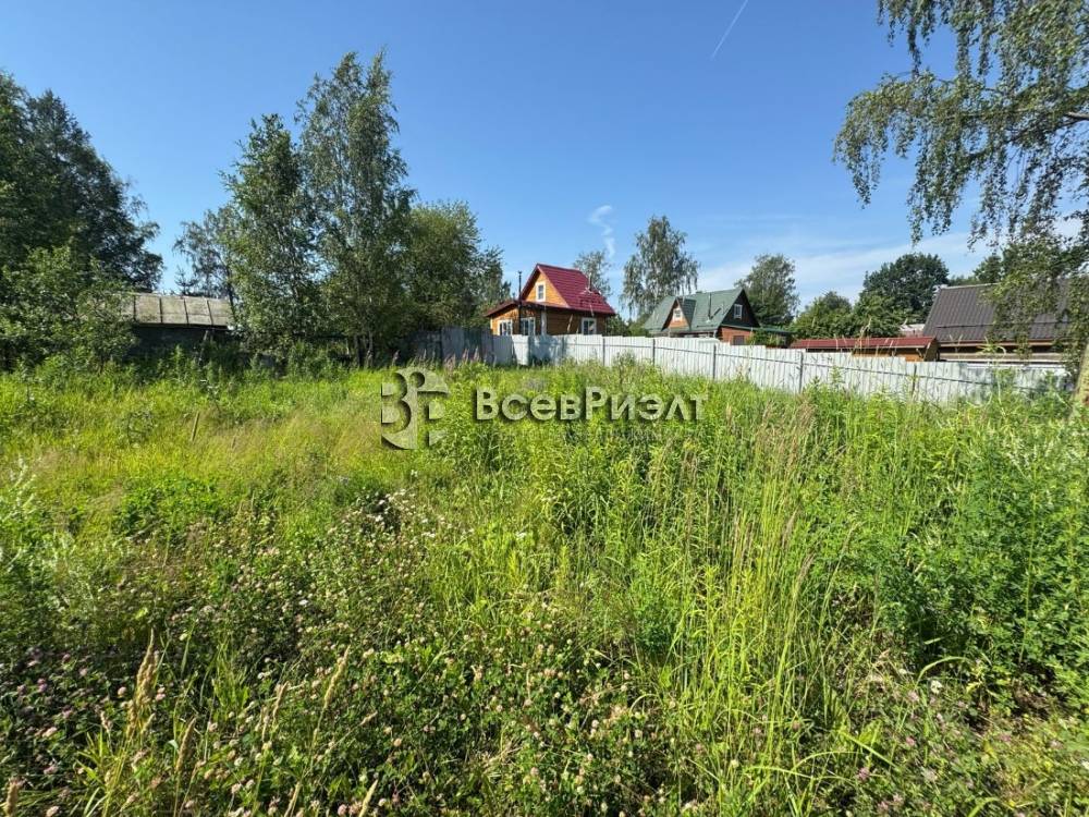 4изображение whatsapp 2025-08-11 в 10.34.10_d26ff966