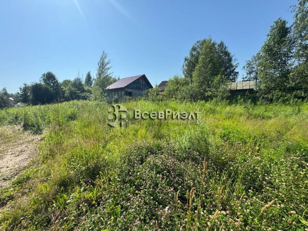 5изображение whatsapp 2025-08-11 в 10.34.10_2b13d86f