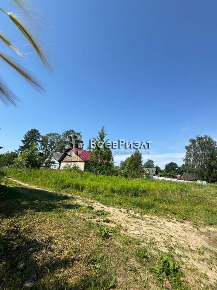 6изображение whatsapp 2025-08-11 в 10.34.10_702645d5